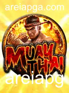 Explorando o Mundo do MuayThai: Regras e Introdução ao Jogo